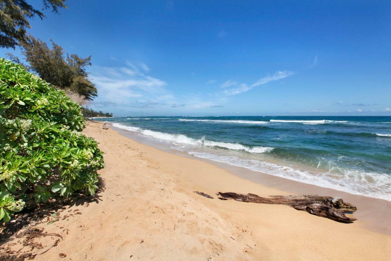 Islander On The Beach 352 Oceanfront *Penthouse* Ac Pool كابا المظهر الخارجي الصورة